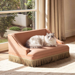 Duchess 33' Medium Princess Pet Bed Sofa with Fringe Skirt, Peach Orange Performance Velvet