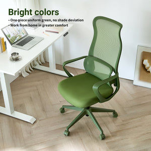 Ergonomic Colorful Office Chair