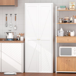 Adjustable 2 Door Storage Cabinet With Adjustable Shelves