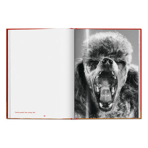 Walter Chandoha. Dogs. Photographs 1941–1991 (English)