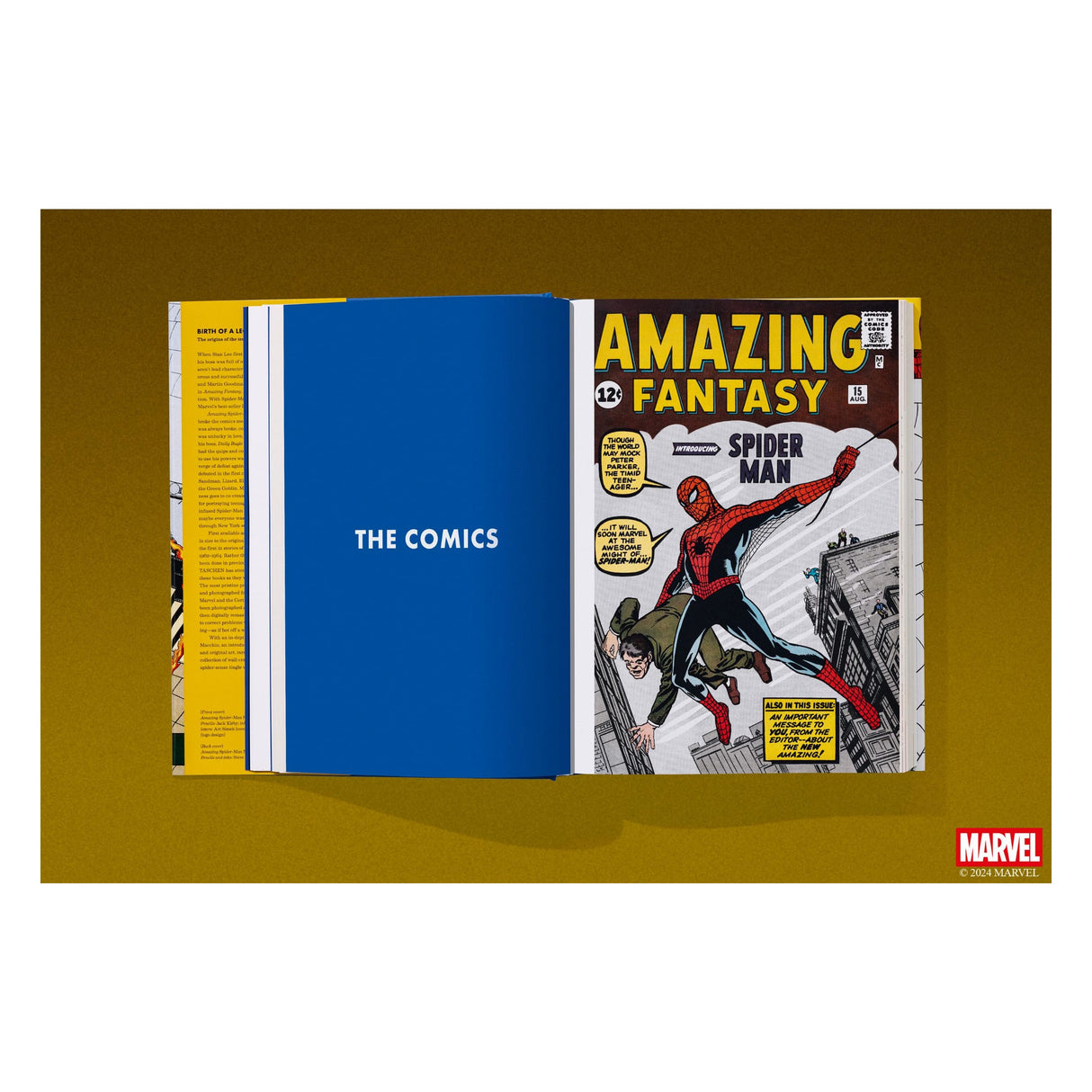 Marvel Comics Library. Spider-Man. 1962–1964 (English)