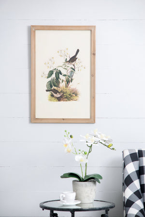 Set of 4 Bird Framed Prints