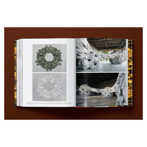 Ai Weiwei. Updated Edition (German, French, English)