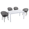 4 Pack Lounge Chair Set With Long Table