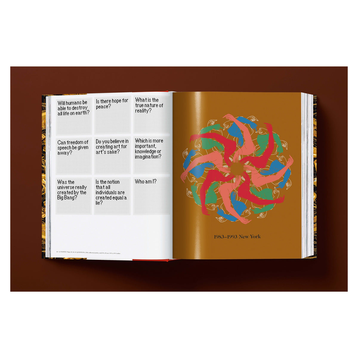Ai Weiwei. Updated Edition (German, French, English)