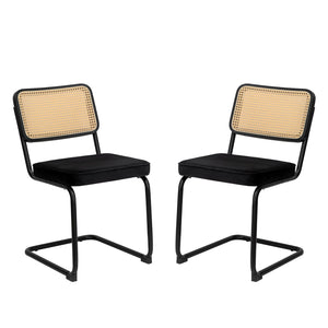 Rattan Side Accent Dining Chairs With Painted Legs (Set of 2)