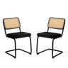 Rattan Side Accent Dining Chairs With Painted Legs (Set of 2)