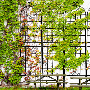 Metal Garden Trellis 4 Pack Rustproof Climbing Plant Supports
