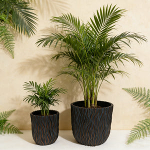 Large Round Planters Set of 2 with Drainage Holes - Magnesium Oxide