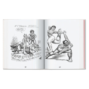 Robert Crumb. Sketchbook Vol. 4. 1982–1989 (English)