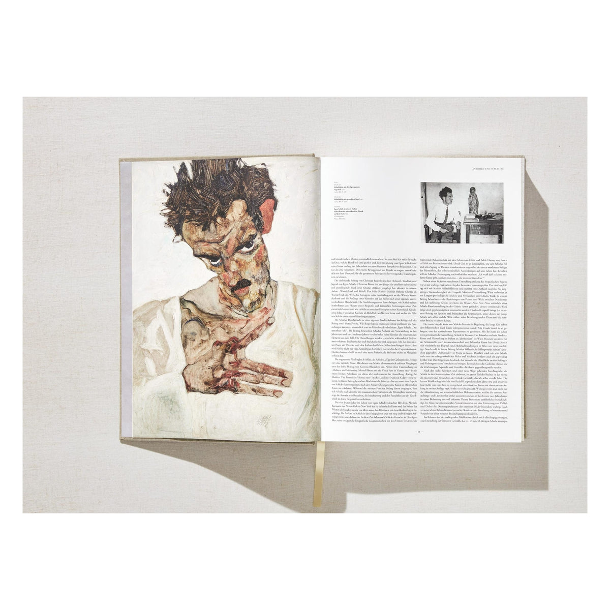Egon Schiele. The Complete Paintings 1909–1918 (English)