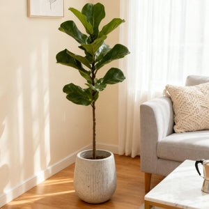 13.38' Dia x 16.14' H Large Round Planter