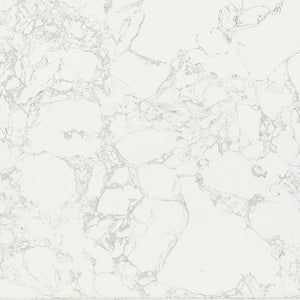 Zayn - Dining Table - White Natrual Marble Top & White