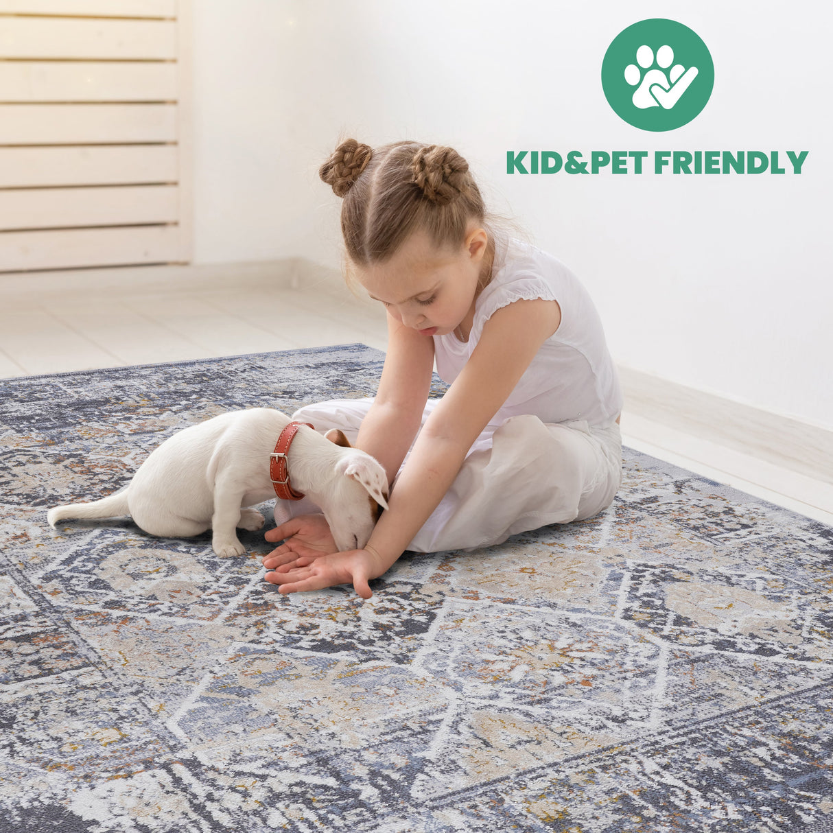 NAAR PAYAS Traditional Non-Shedding and Stain Resistant Area Rug