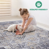 NAAR PAYAS Traditional Non-Shedding and Stain Resistant Area Rug
