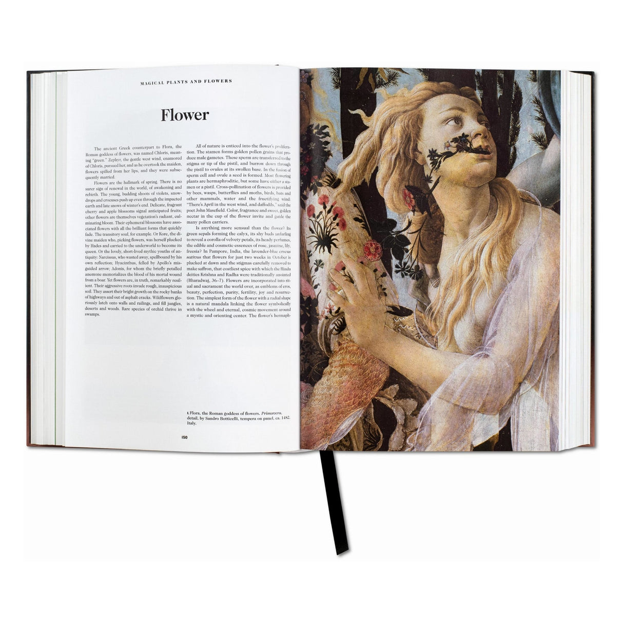 The Book of Symbols. Reflections on Archetypal Images (English)