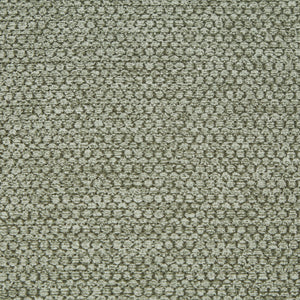 Modern Elegance Accent Chair with Curved Backrest