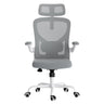 Ergonomic Office Chair with Headrest and Lumbar Support