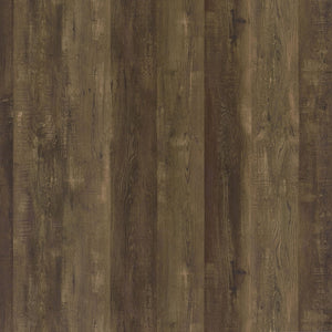 Harlie - 2 Door Wine Cabinet - Oak