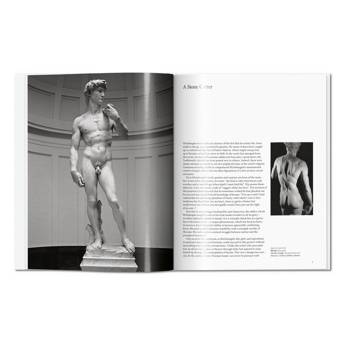Michelangelo (English)