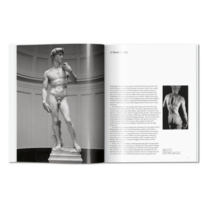 Michelangelo (English)