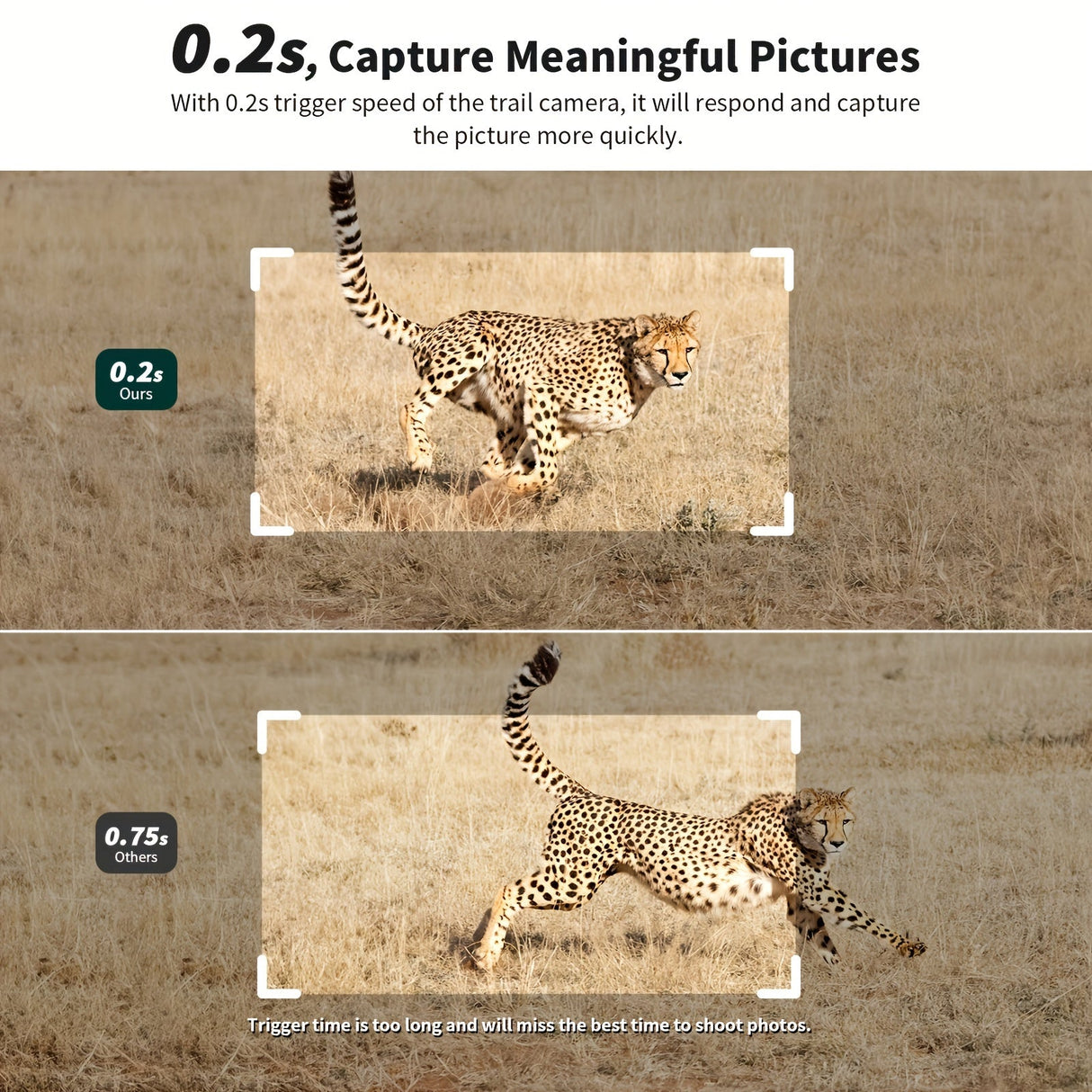 4K Hunting Trail Camera with 4G Live View, Solar Powered & Auto Night Vision