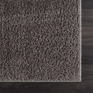 Judy Solid Dark Gray Washable Shag Rug - Promo