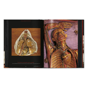 Anatomical Waxes. 45th Ed. (German, French, English)