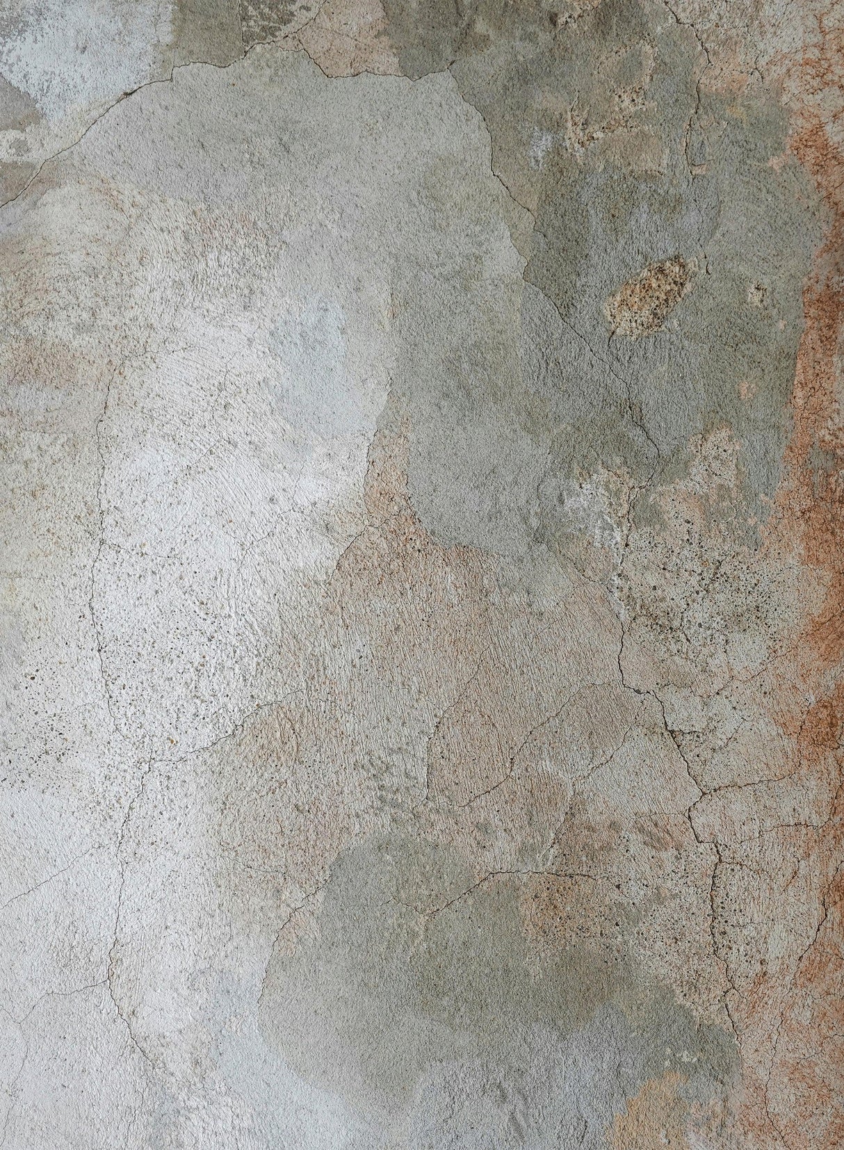 Artistic Collection Area Rug