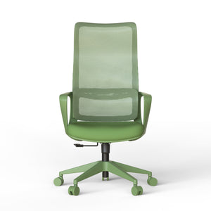 Ergonomic Colorful Office Chair