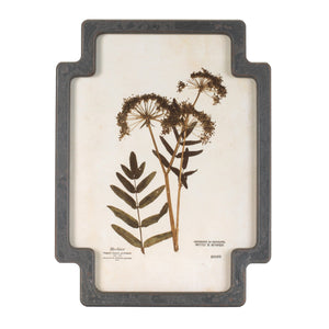 Framed Pressed Floral and Foliate Print (Set of 4)