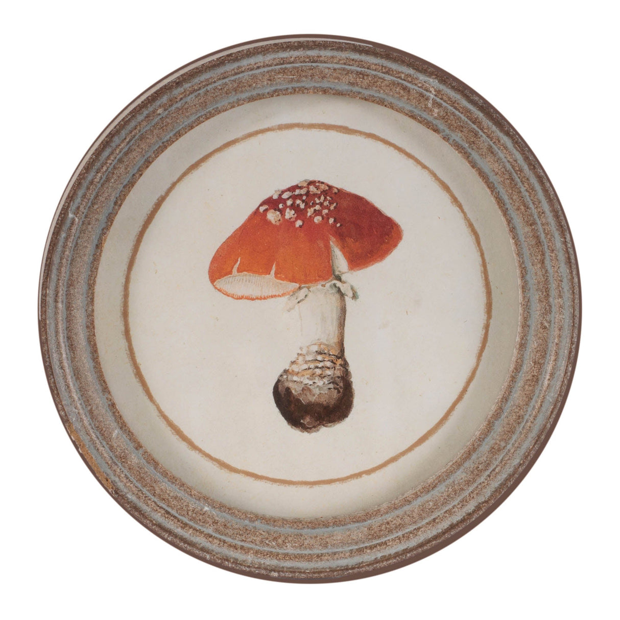 Framed Mushroom Print (Set of 4)