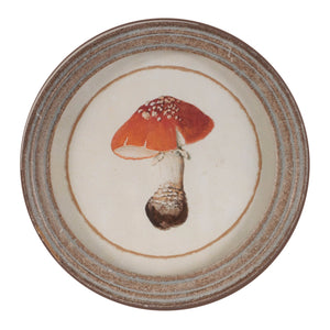 Framed Mushroom Print (Set of 4)