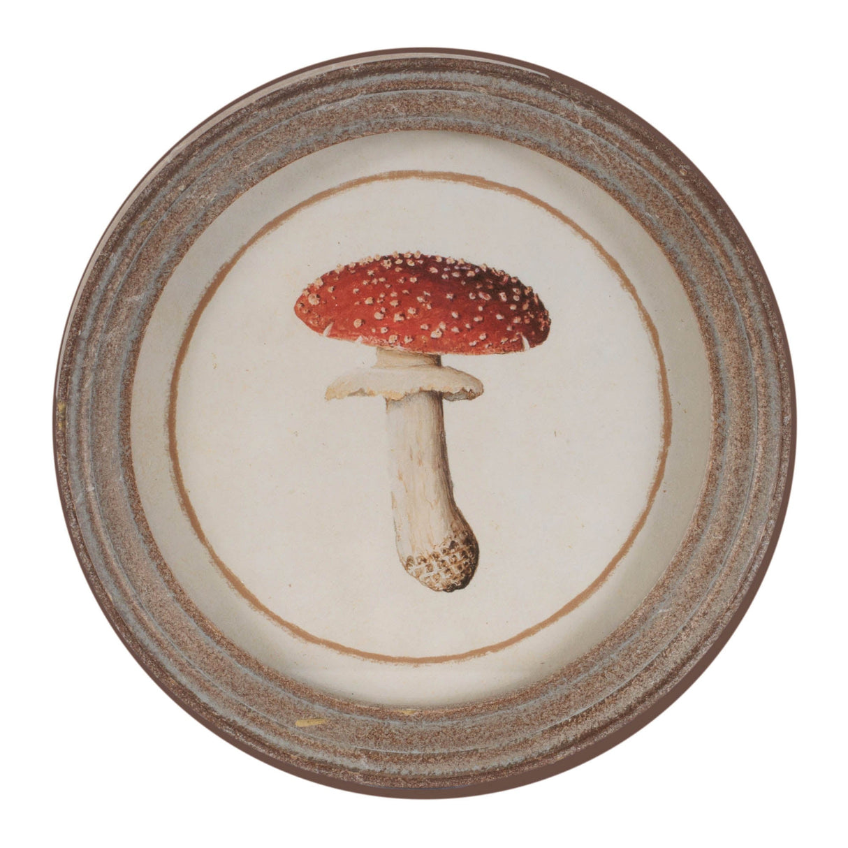 Framed Mushroom Print (Set of 4)