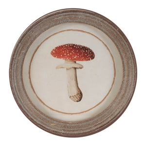 Framed Mushroom Print (Set of 4)