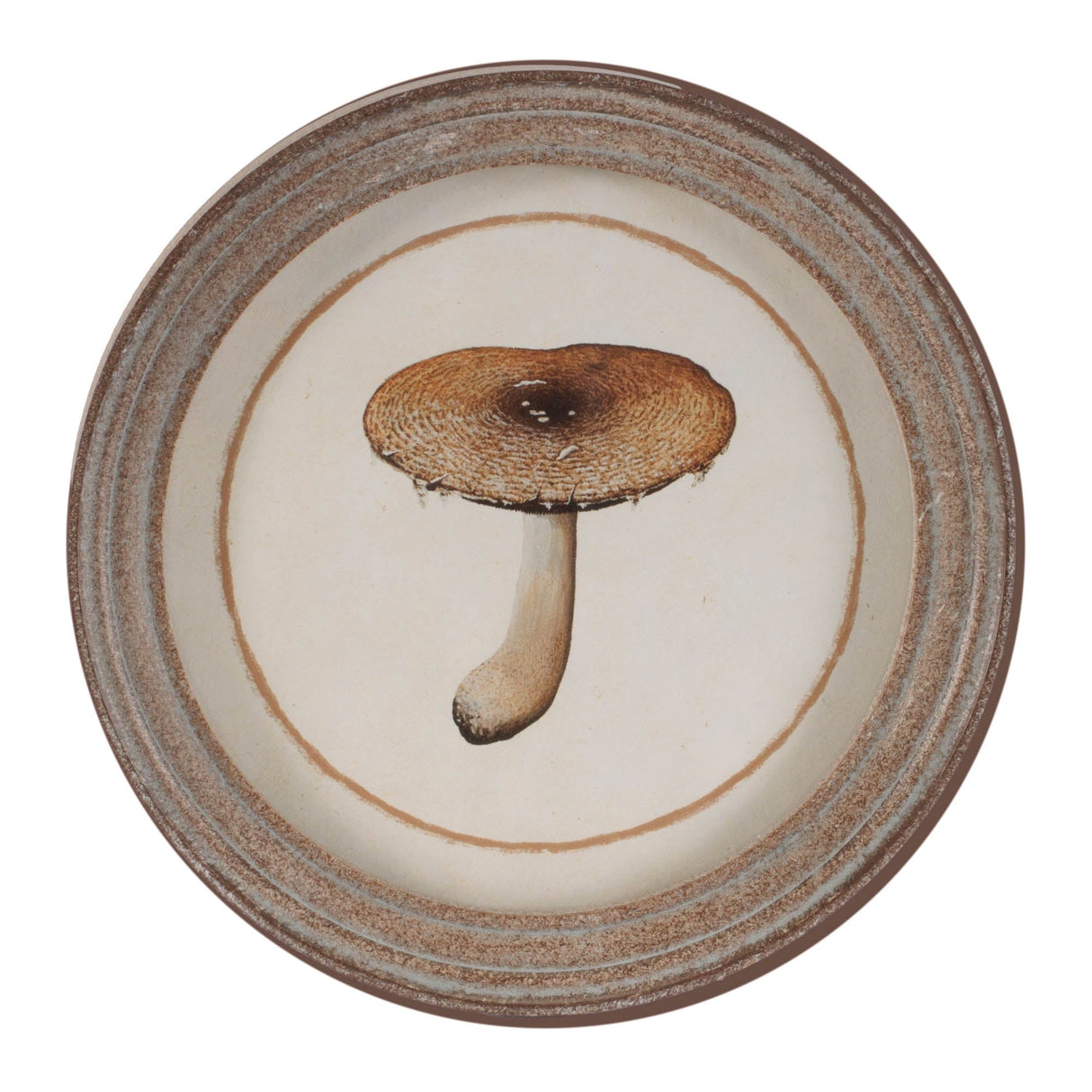 Framed Mushroom Print (Set of 4)