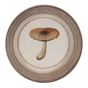 Framed Mushroom Print (Set of 4)