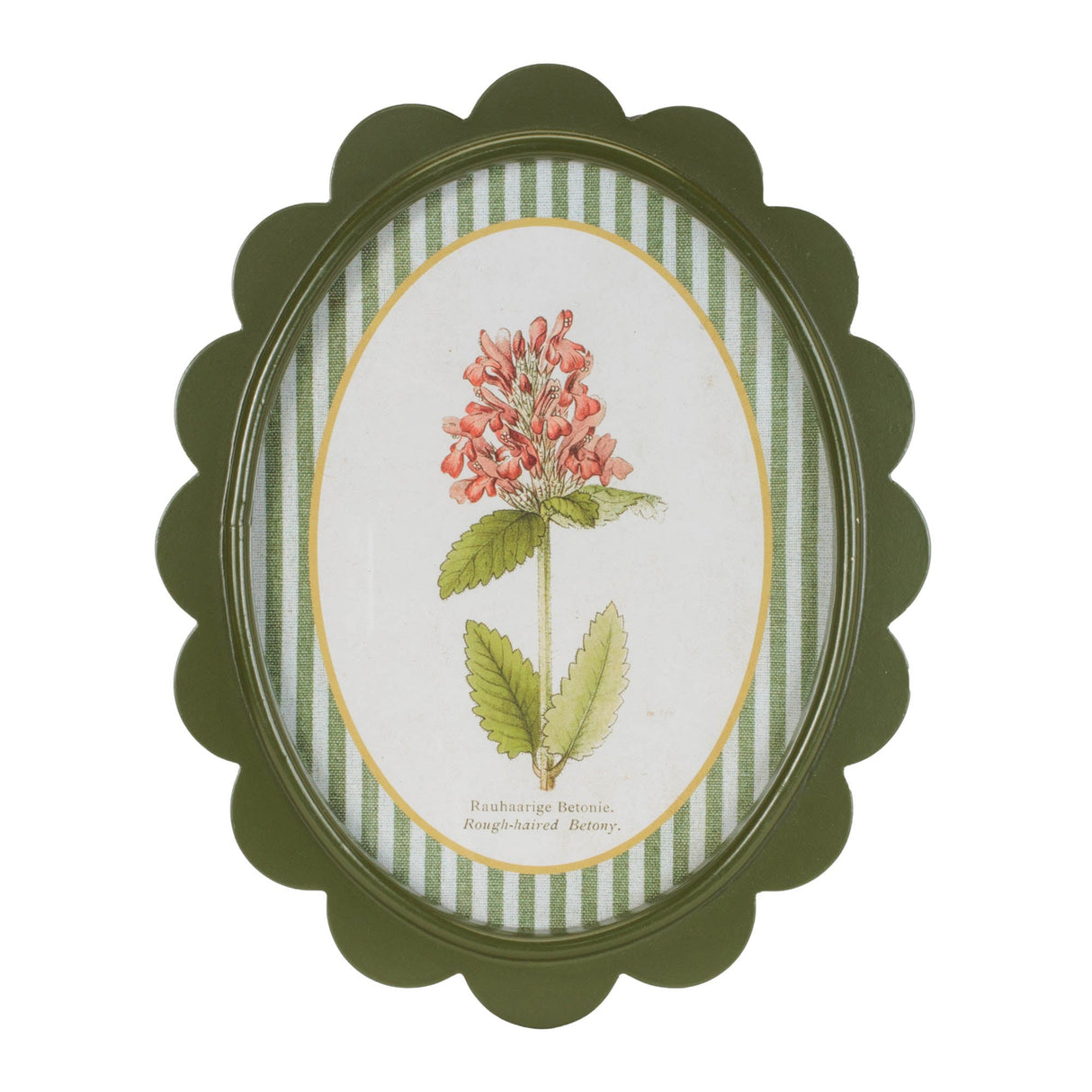 Framed Encyclopedia Flower Print (Set of 3)