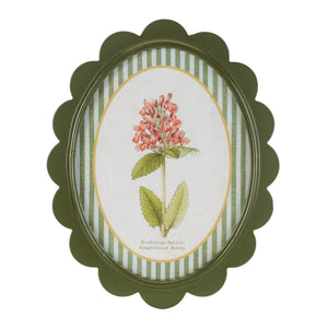 Framed Encyclopedia Flower Print (Set of 3)