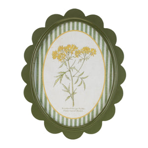 Framed Encyclopedia Flower Print (Set of 3)