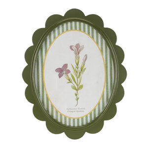 Framed Encyclopedia Flower Print (Set of 3)