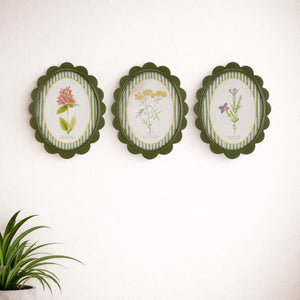 Framed Encyclopedia Flower Print (Set of 3)