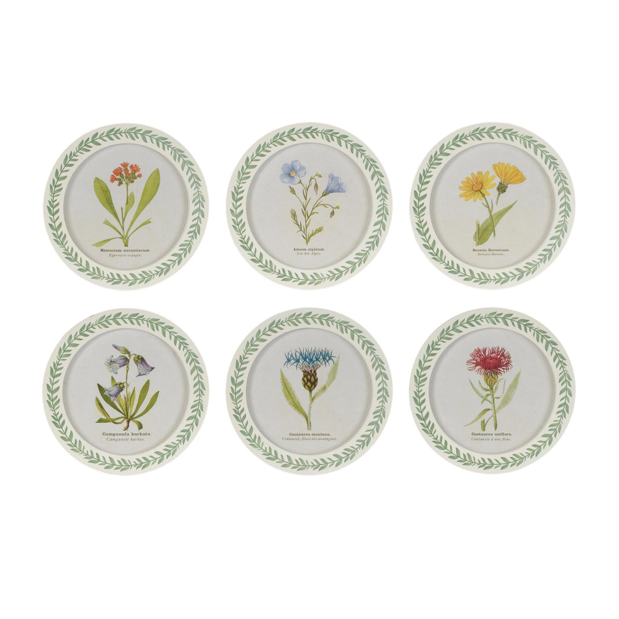 Round Framed Encyclopedia Floral Print (Set of 6)