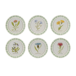 Round Framed Encyclopedia Floral Print (Set of 6)