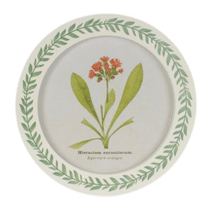 Round Framed Encyclopedia Floral Print (Set of 6)