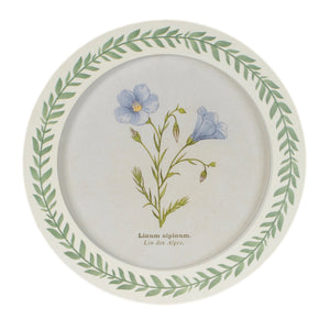 Round Framed Encyclopedia Floral Print (Set of 6)