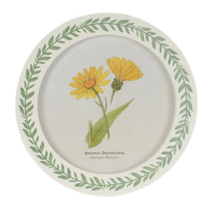 Round Framed Encyclopedia Floral Print (Set of 6)