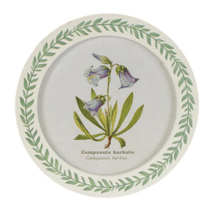 Round Framed Encyclopedia Floral Print (Set of 6)
