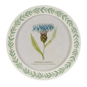 Round Framed Encyclopedia Floral Print (Set of 6)