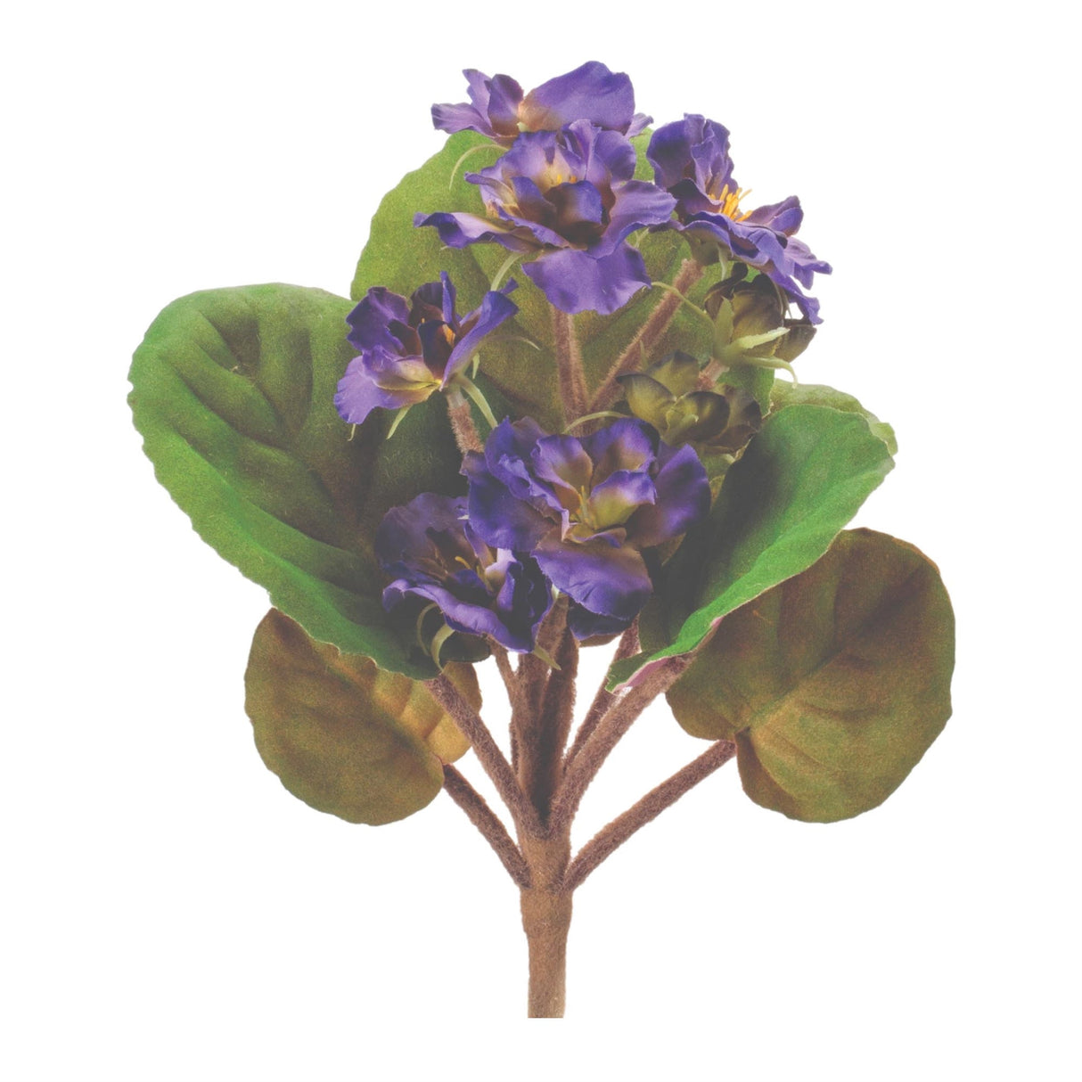 African Violet Flower Bush Set of 4